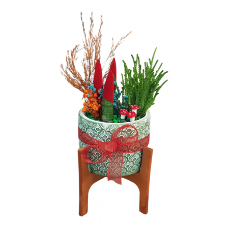 Paşa Kılıcı "Sanseveria" Aranjman.